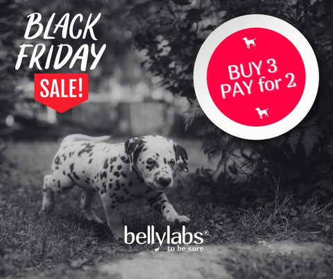 BLACK FRIDAY SPECIAL: BUY3, PAY FOR 2