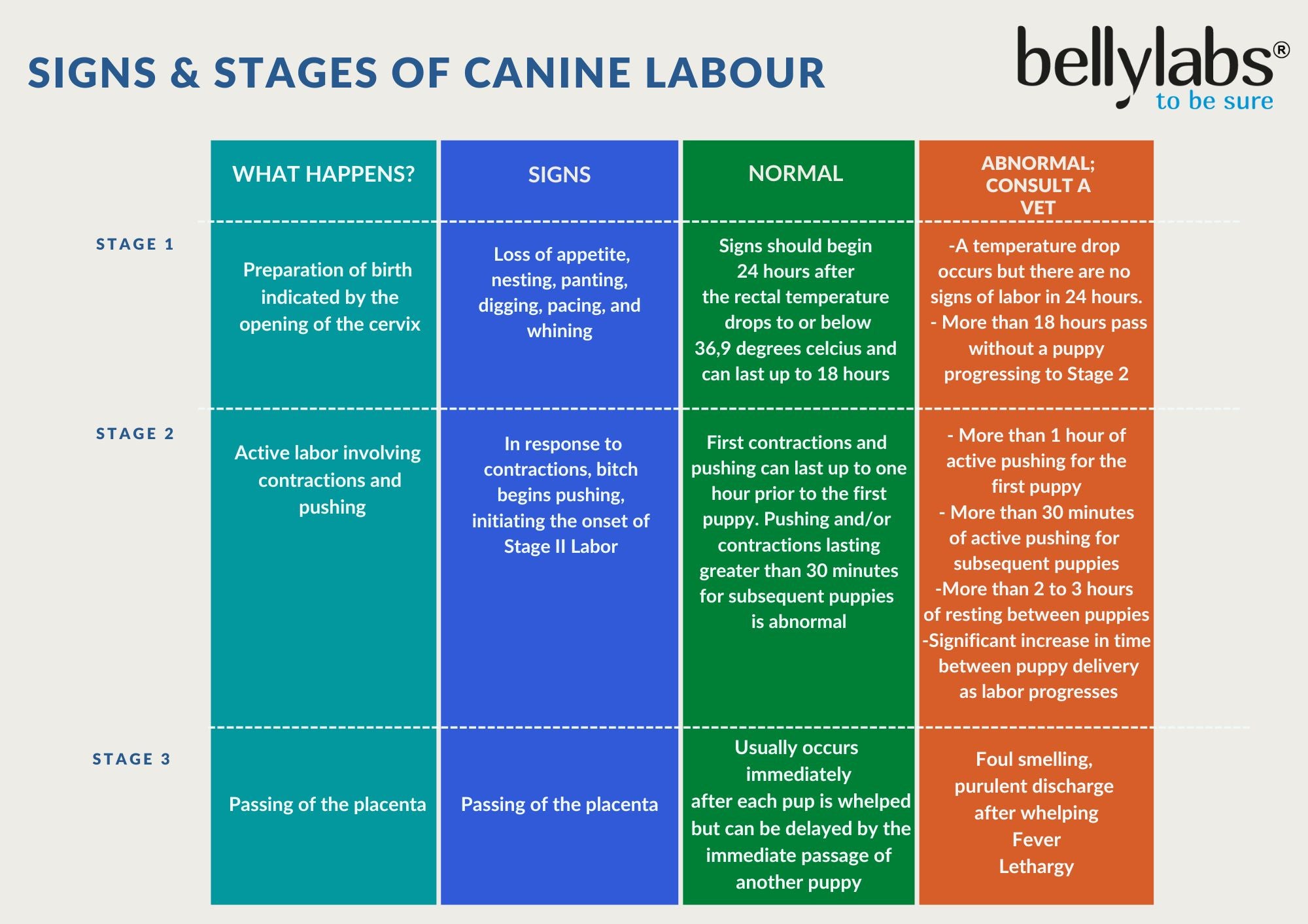 Stages Of Canine Pregnancy Bellylabs stages-of-canine-pregnancy-bellylabs