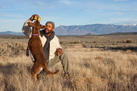Unleash Your Breeding Genius: Subscribe to Bellylabs' Email List Today!