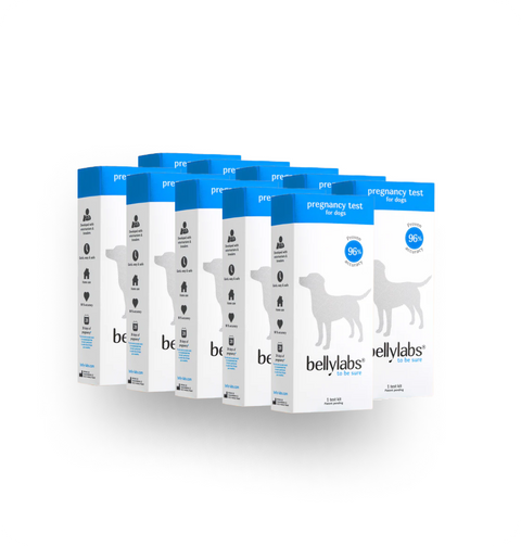 Bellylabs Pregnancy Test  For Dogs – 8 + 2 Premier Breeder Bundle