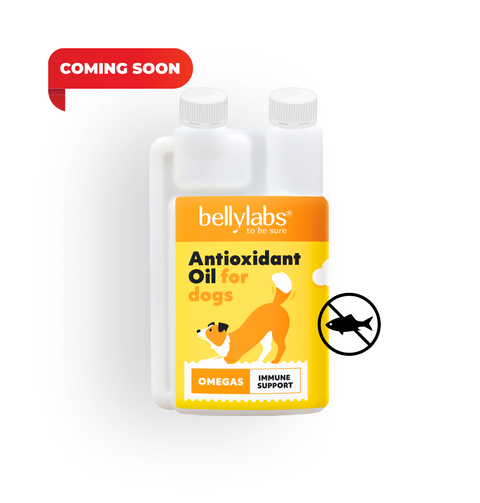 Science-backed nutritional support for canine skin, coat, and immune health