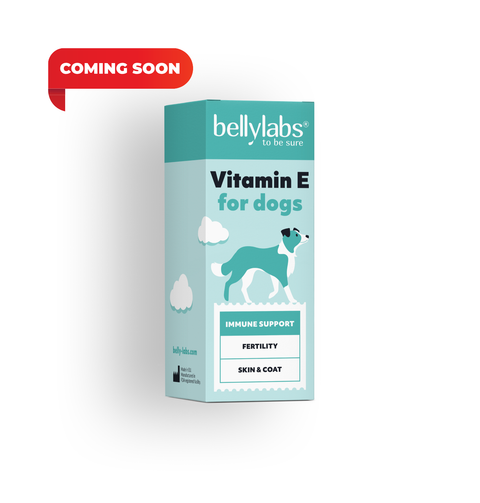 The importance of Vitamin E for dogs: Antioxidant protection and fertility Support