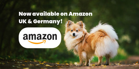 Bellylabs is now available on Amazon UK and Germany!