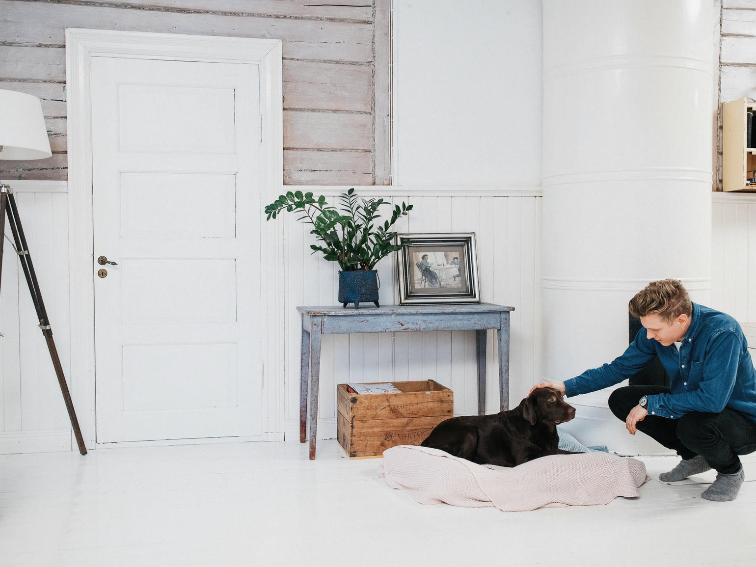 understanding-the-dog-gestation-period-a-comprehensive-guide-for-firs