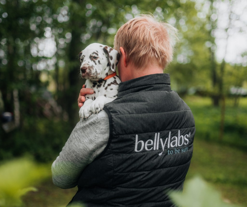 How to Prepare Your Dog for Whelping Puppies: A Simple Guide – Bellylabs