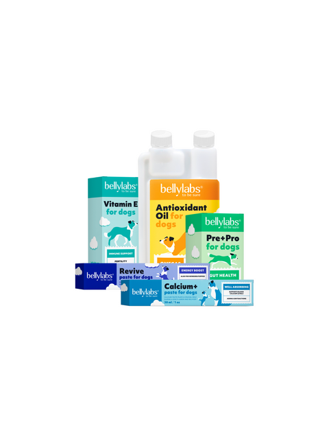 Supplement presale starts 29th of September