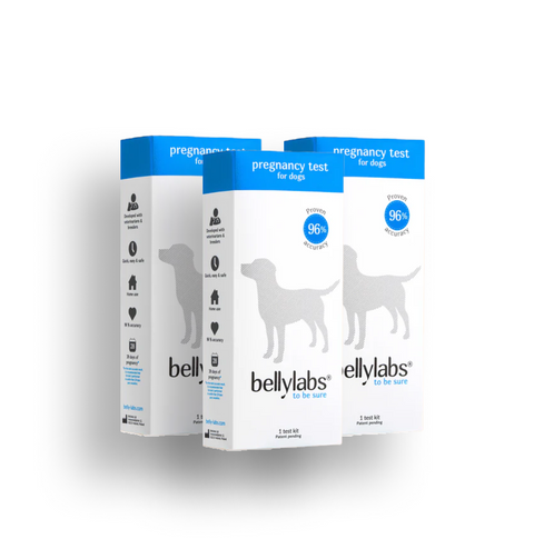Bellylabs Pregnancy Test  For Dogs – 2 + 1 Bundle