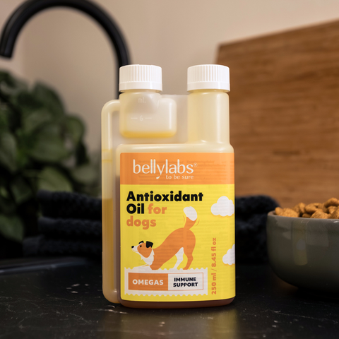 Bellylabs Antioxidant Oil 250ml for dogs
