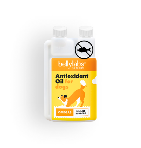 Bellylabs Antioxidant Oil 250ml for dogs