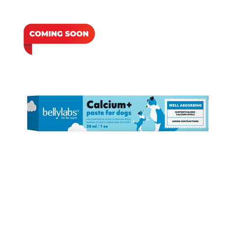 Bellylabs Calcium+ paste 30ml for dogs