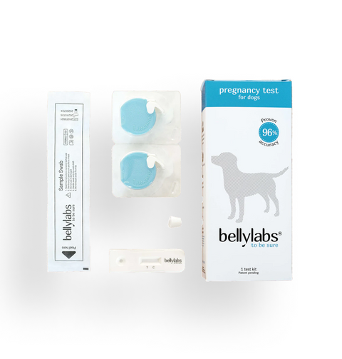 Bellylabs Pregnancy Test For Dogs