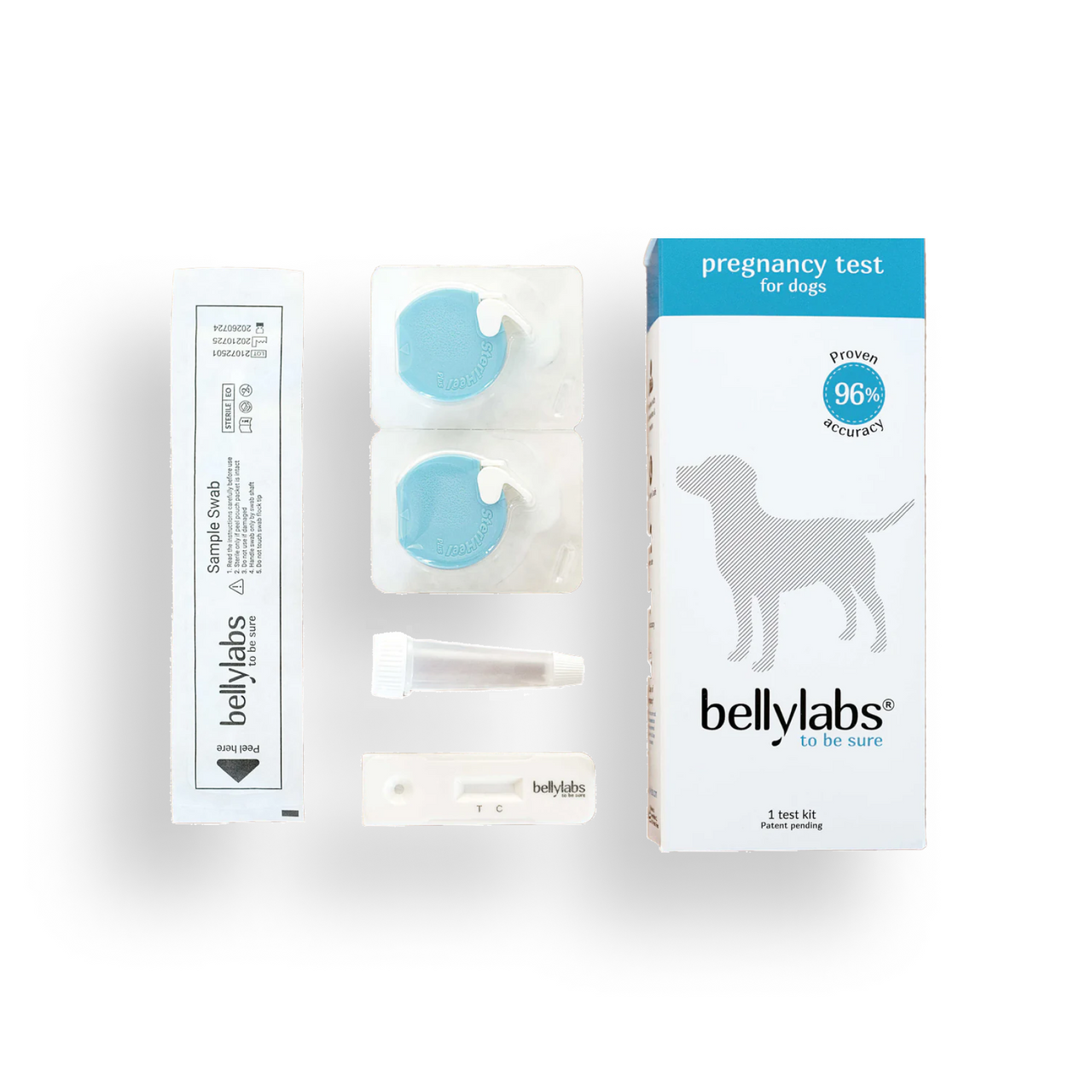 Curated visual reference: Fresh Look at Understanding The Dog Gestation Period A Comprehensive Guide For Firs