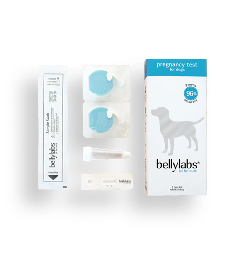 Bellylabs Pregnancy Test For Dogs