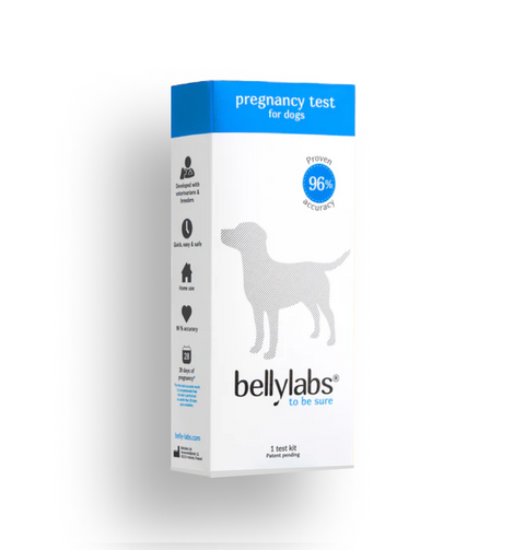 Bellylabs Pregnancy Test For Dogs