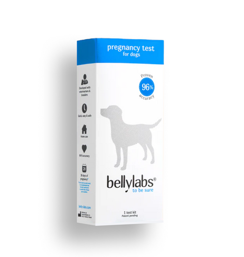 Bellylabs Trächtigkeitstest für Hunde