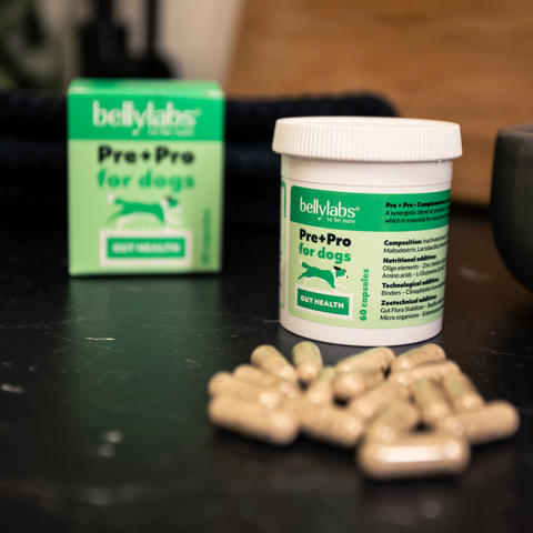 Bellylabs Pre+Pro 60 capsules for dogs