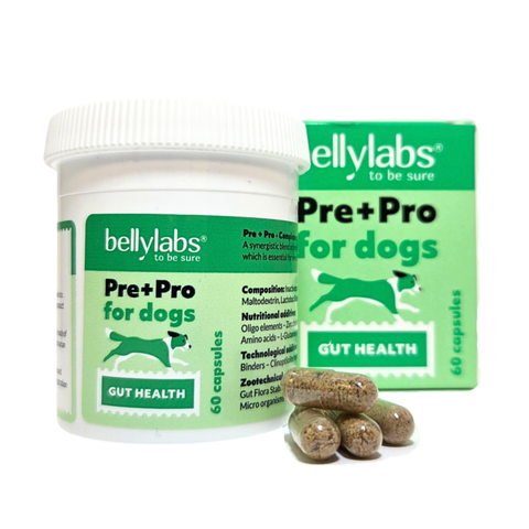 Bellylabs Pre+Pro 60 capsules for dogs