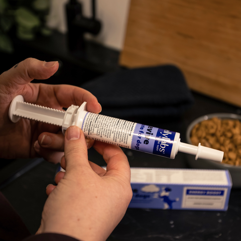 Bellylabs Revive paste 30ml for dogs