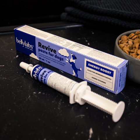 Bellylabs Revive paste 30ml for dogs
