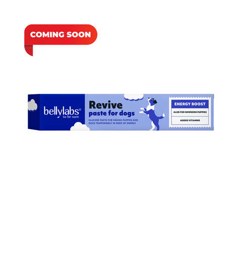Bellylabs Revive paste 30ml for dogs