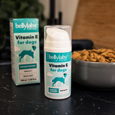 Bellylabs Vitamin E 100ml for dogs