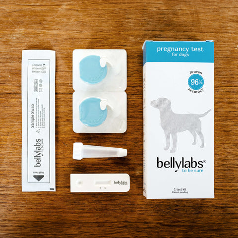 Bellylabs Pregnancy Test For Dogs