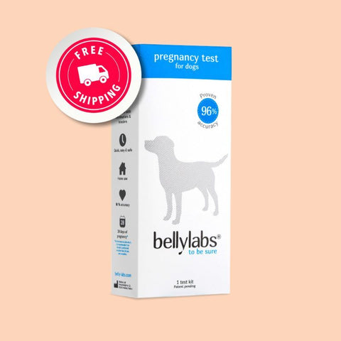 Bellylabs Pregnancy Test For Dogs