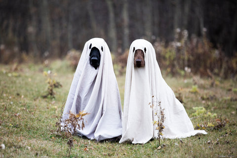 Howloween: buy 2 get -15%