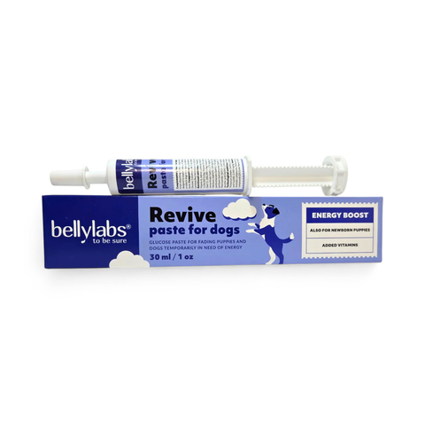 Bellylabs Revive paste 30ml for dogs