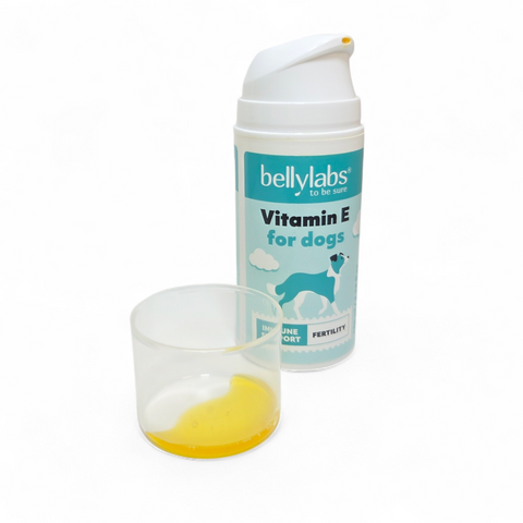 Bellylabs Vitamin E 100ml for dogs