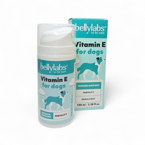 Bellylabs Vitamin E 100ml for dogs