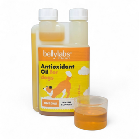 Bellylabs Antioxidant Oil 250ml for dogs